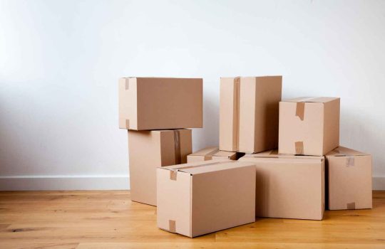 Cartons2